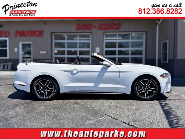 FORD MUSTANG in Princeton