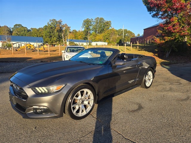 Ford Mustang ECO BOOST PREMIUM CONTVERTIBLE EcoBoost Pr in Statesville