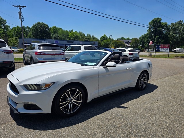 Ford Mustang V6 Convertible in Statesville