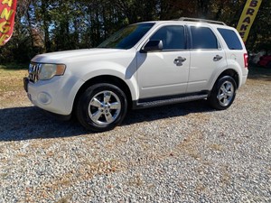 Picture of a 2010 Ford Escape XLT FWD