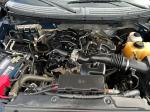2012 Ford F-150 Pic 2135_V20230308050102000110