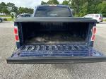 2012 Ford F-150 Pic 2135_V20230308050102000116