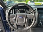2012 Ford F-150 Pic 2135_V20230308050102000119