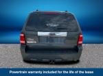 2009 Ford Escape Pic 2135_V2023033005011900014