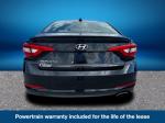 2015 Hyundai Sonata Pic 2135_V2023033005012100084