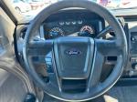 2013 Ford F-150 Pic 2135_V20241205003002000019