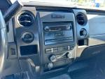 2013 Ford F-150 Pic 2135_V20241205003002000020