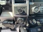 2016 Ford F-150 Pic 2135_V20250730003002000022