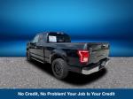 2016 Ford F-150 Pic 2135_V2025073000300200003