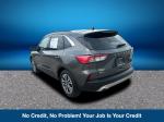 2020 Ford Escape Pic 2135_V2025073100300200003