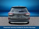 2020 Ford Escape Pic 2135_V2025073100300200004