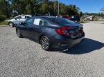 2017 Honda Civic Pic 2135_V2025101521300300013