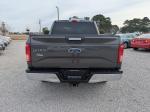 2015 Ford F-150 Pic 2135_V2026010218300900004