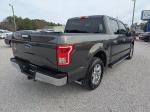 2015 Ford F-150 Pic 2135_V2026010218300900005