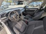 2019 Honda Civic Pic 2135_V20260102213010000011