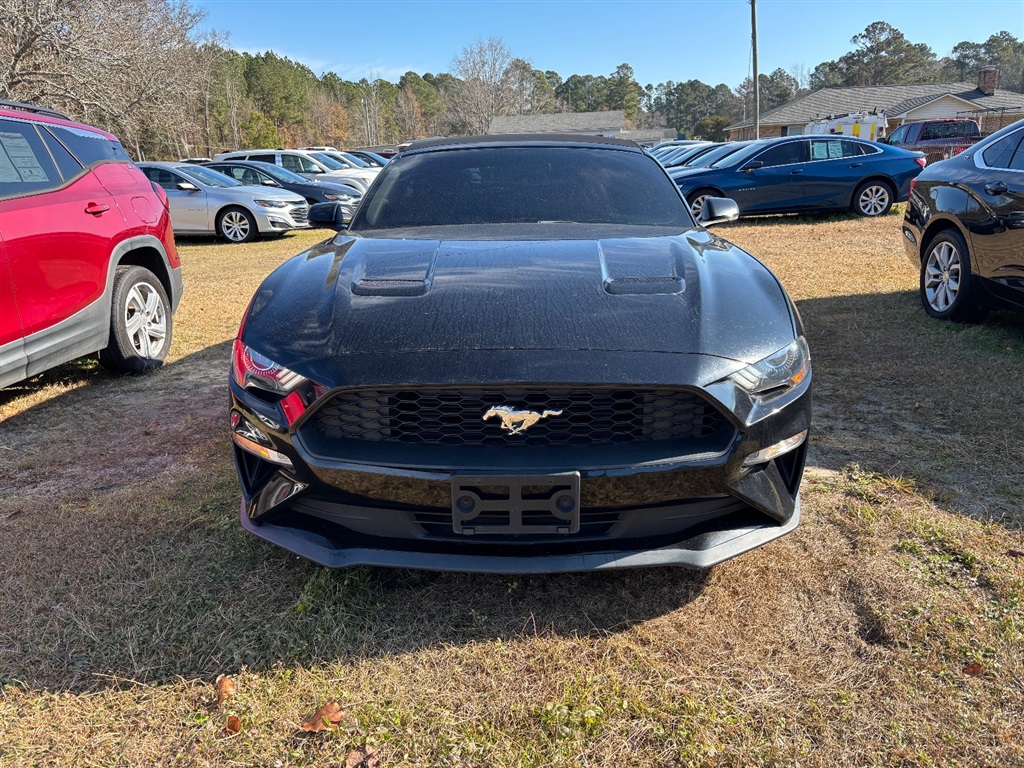 2018 Ford Mustang EcoBoost's photo