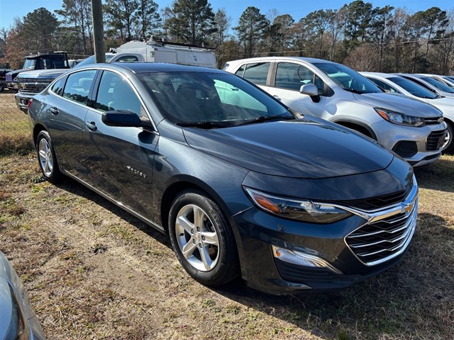 Chevrolet Malibu 1FL in Sumter
