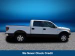 2014 Ford F-150 Pic 2335_V2025031215300200006