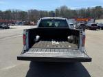 2014 Ford F-150 Pic 2335_V2025031215300200009