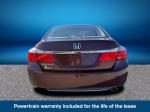 2015 Honda Accord Pic 2335_V2025110815300200004
