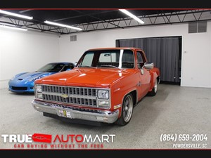 Picture of a 1981 Chevrolet C/K 10 Regular Cab 2WD