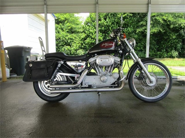 Harley-Davidson XL 883C SPORTSTER in Asheville