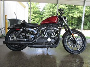 Picture of a 2017 Harley-Davidson XL883N IRON