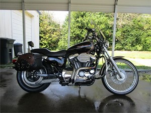 Picture of a 2004 Harley-Davidson XL 1200C Sportster