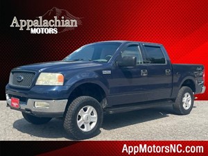 Picture of a 2004 Ford F-150 XLT