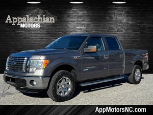 Picture of a 2011 Ford F-150 XLT