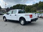 2015 Ford F-150 Pic 2468_V2024092518315700043