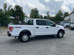 2015 Ford F-150 Pic 2468_V2024092518315700044