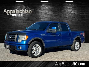 2010 Ford F-150 FX4 for sale by dealer