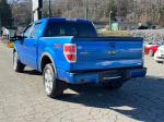 2010 Ford F-150 Pic 2468_V2025010715303100012