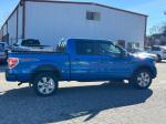 2010 Ford F-150 Pic 2468_V2025010715303100013