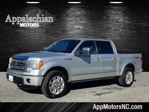 2011 Ford F-150 Platinum for sale by dealer