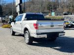 2011 Ford F-150 Pic 2468_V2025010715303400032