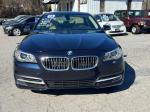 2014 Bmw 5 Series Pic 2468_V2025012215303000066