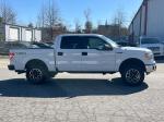 2012 Ford F-150 Pic 2468_V2025031115311900015