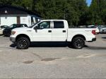 2012 Ford F-150 Pic 2468_V2025061715304800002