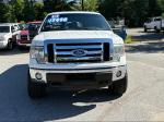 2012 Ford F-150 Pic 2468_V2025061715304800006