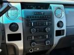 2012 Ford F-150 Pic 2468_V2025061715304800009