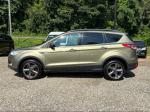 2013 Ford Escape Pic 2468_V2025062412304200052