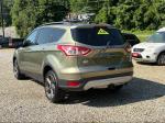 2013 Ford Escape Pic 2468_V2025062412304200053