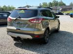 2013 Ford Escape Pic 2468_V2025062412304200054