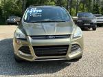 2013 Ford Escape Pic 2468_V2025062412304200056