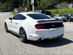 2015 Ford Mustang Pic 2468_V2025072915305400023