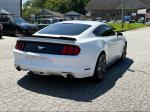 2015 Ford Mustang Pic 2468_V2025072915305400024