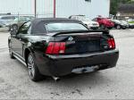 2000 Ford Mustang Pic 2468_V2025081215310200003