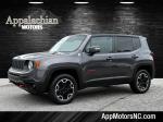 2016 Jeep Renegade Pic 2468_V202508121531100004